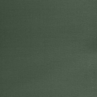 Оксфорд (Oxford) 240D 19-5917, PU/WR, 115 гр/м2, шир.150см, цвет т.зелёный - купить в Ярославле. Цена 152.54 руб.
