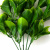 Трава искусственная -1, шт (эвкалипт лист 32 см/8 см)				 - купить в Ярославле. Цена: 169.93 руб.