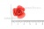 Украшение "Розы малые №1" 20мм - купить в Ярославле. Цена: 32.49 руб.