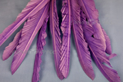 Декоративный Пучок из перьев, перо 25см/фиолетовый - купить в Ярославле. Цена: 12.19 руб.