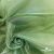 Ткань органза, 100% полиэстр, 28г/м2, шир. 150 см, цв. #27 зеленый - купить в Ярославле. Цена 86.24 руб.