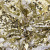 Трикотажное полотно, Сетка с пайетками, шир.130 см, #315, цв.-белый/золото - купить в Ярославле. Цена 693.39 руб.