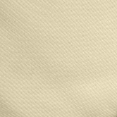 Ткань подкладочная Таффета 14-1014, антист., 54 гр/м2, шир.150см, цвет бежевый - купить в Ярославле. Цена 65.53 руб.